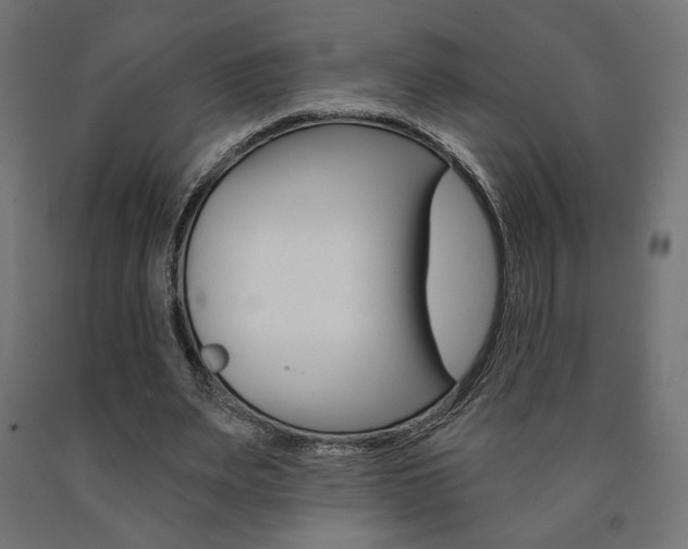 X0000090980487200708021144