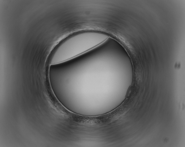 X0000090980488200708021144