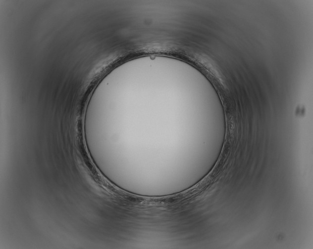 X0000090980491200708021144
