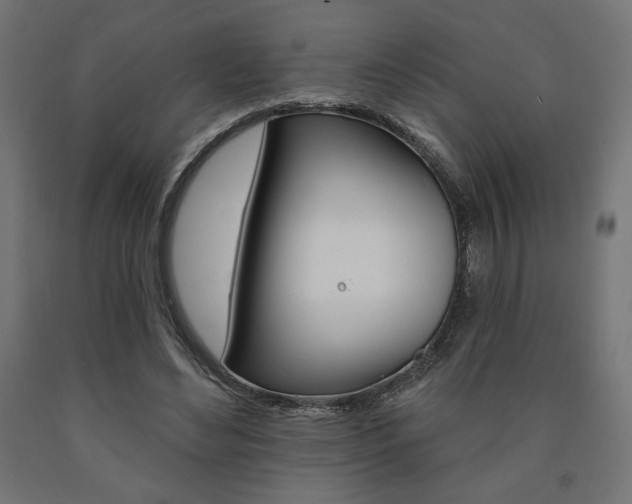 X0000090980492200708021144