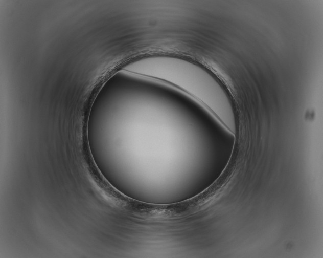 X0000090980493200708021144