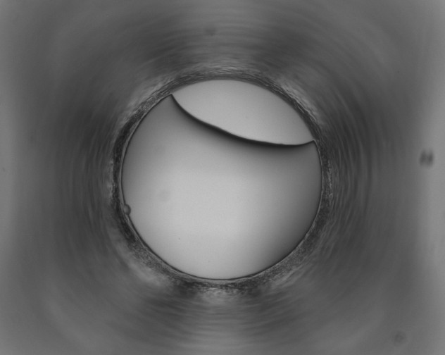 X0000090980494200708021144