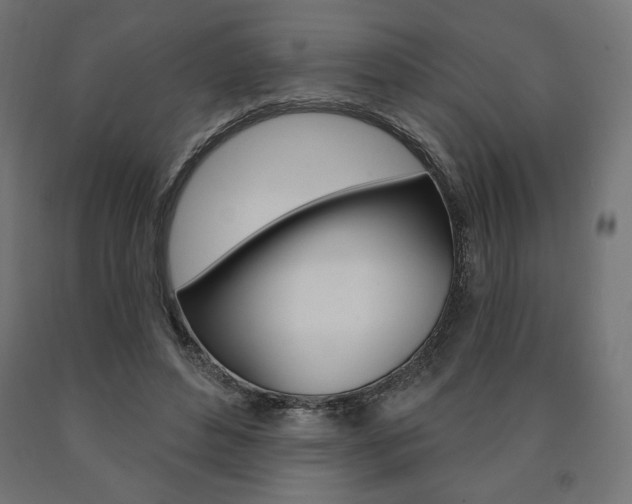 X0000090980496200708021144
