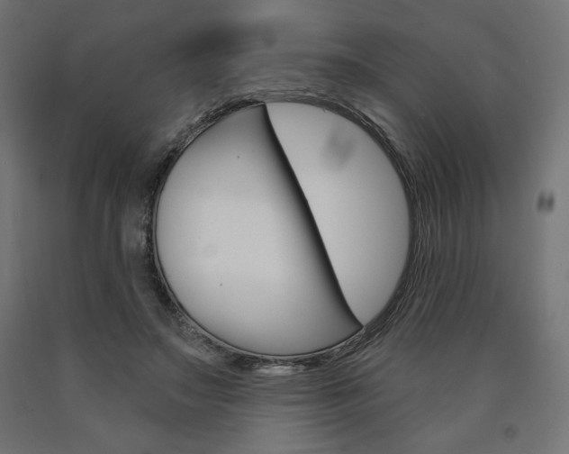 X0000090980499200708021144