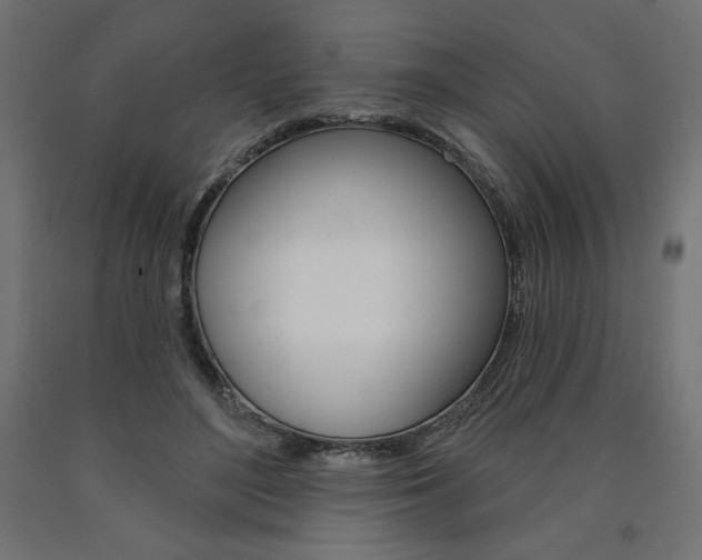 X0000090980500200708021144