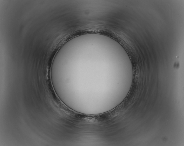 X0000090980502200708021144