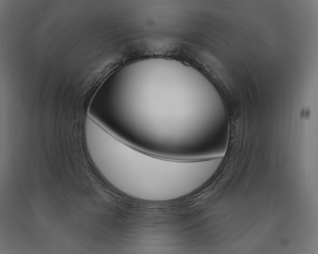 X0000090980505200708021144