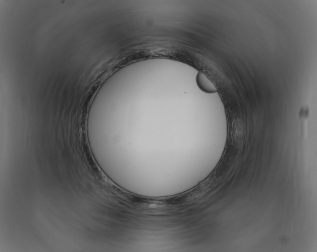X0000090980506200708021144