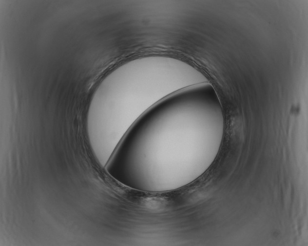 X0000090980508200708021144
