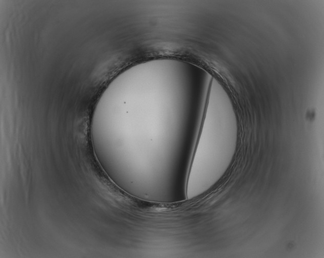 X0000090980509200708021144