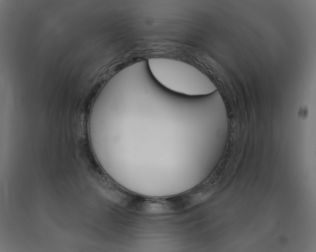 X0000090980510200708021144
