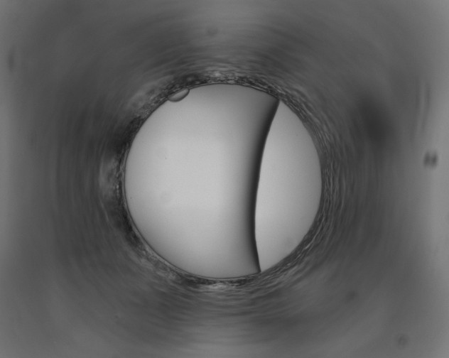 X0000090980511200708021144