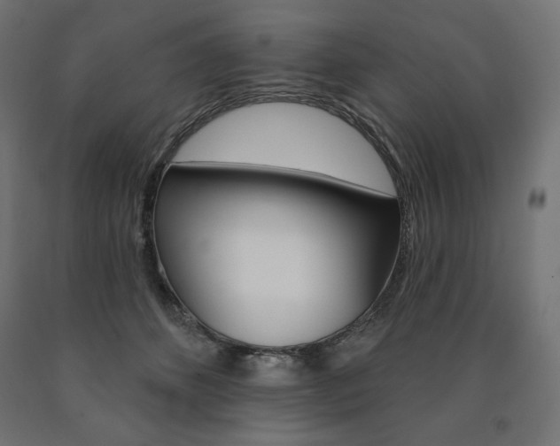 X0000090980512200708021144