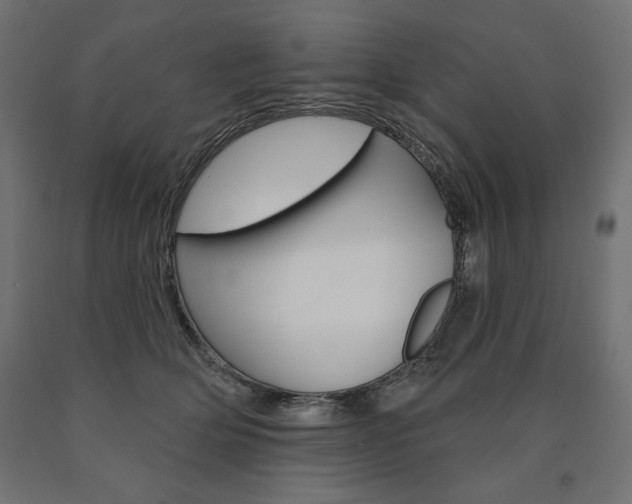 X0000090980514200708021144