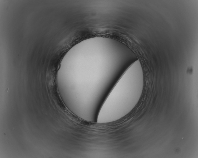 X0000090980515200708021144