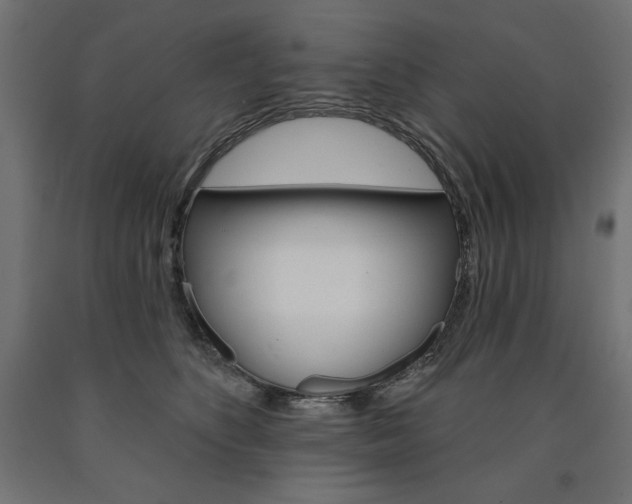 X0000090980516200708021144