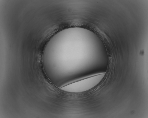 X0000090980517200708021144