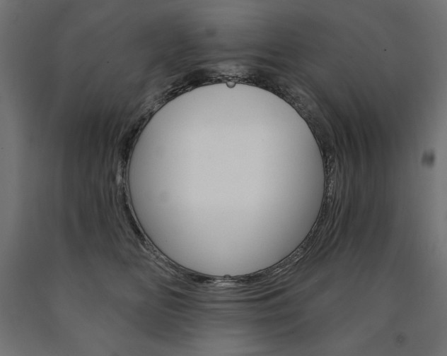 X0000090980518200708021144