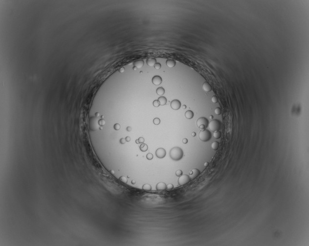 X0000090980519200708021144