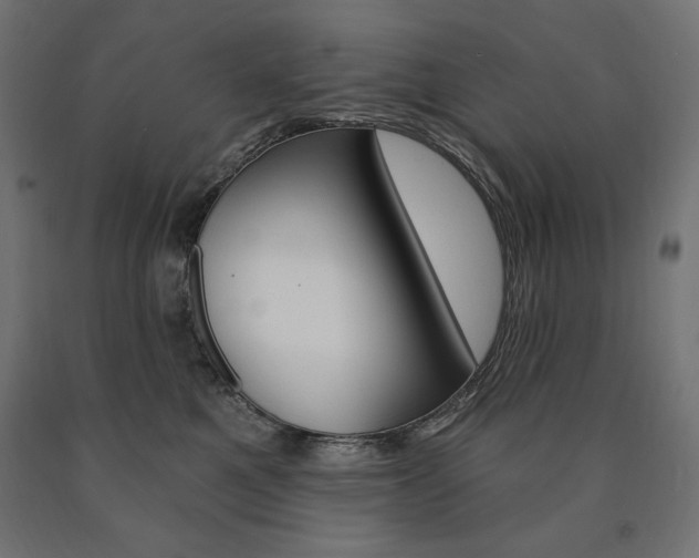 X0000090980521200708021144