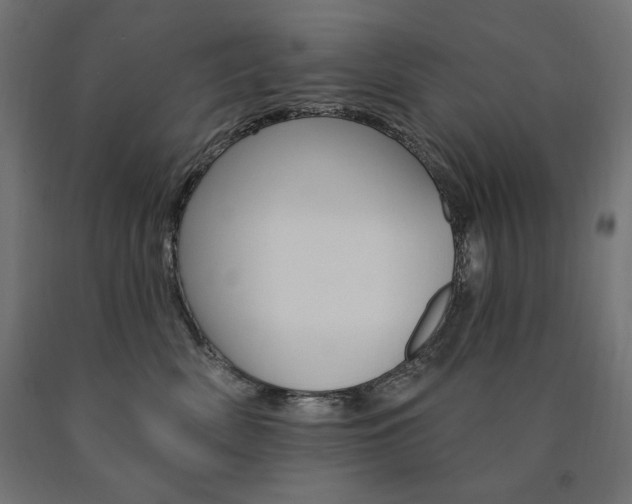 X0000090980522200708021144
