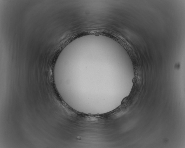 X0000090980523200708021144