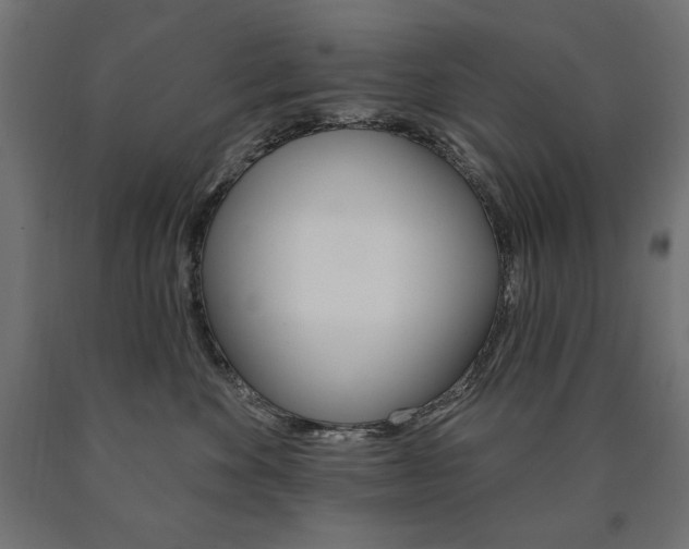 X0000090980524200708021144
