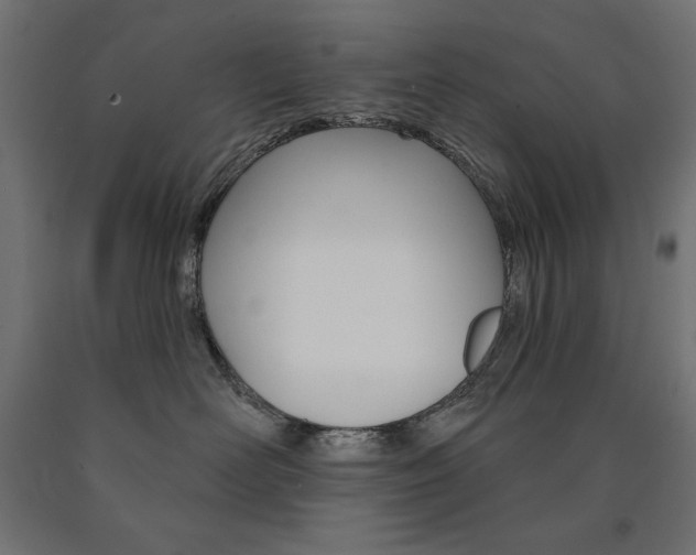 X0000090980526200708021144