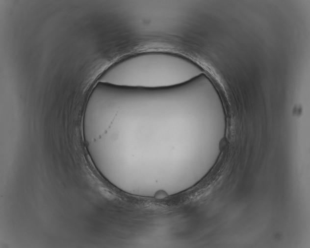 X0000090980529200708021143