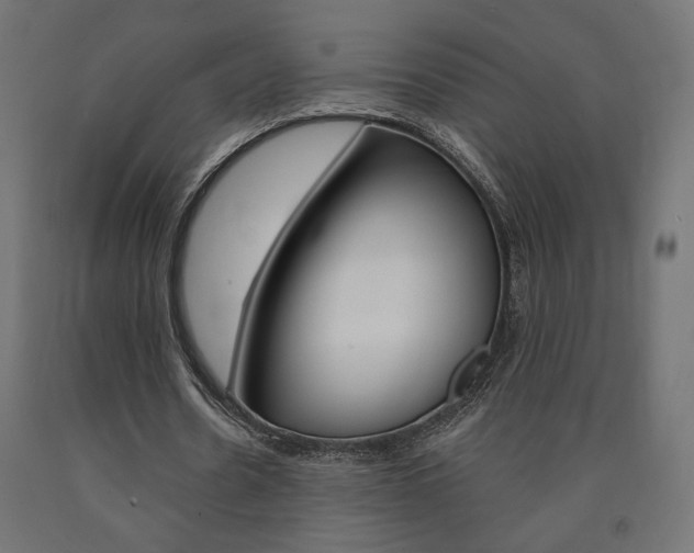 X0000090980530200708021143