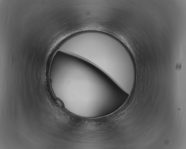 X0000090980531200708021143