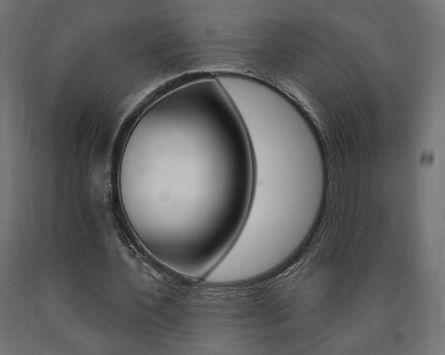 X0000090980532200708021143