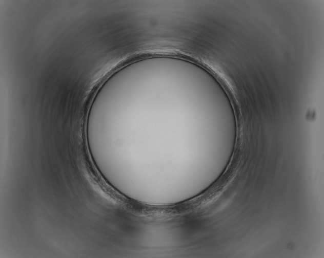 X0000090980533200708021143