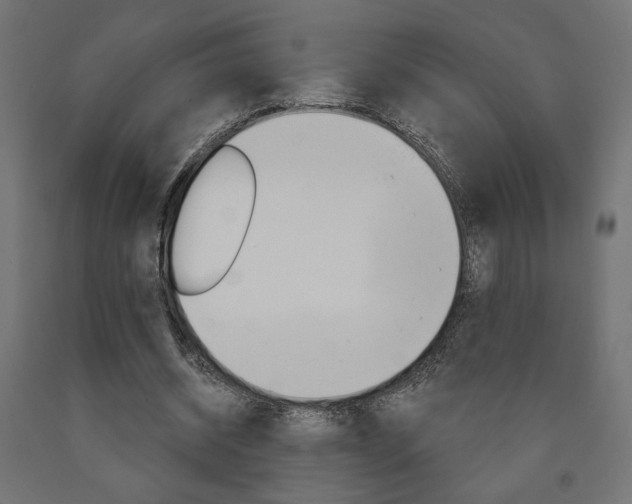 X0000090980534200708021143