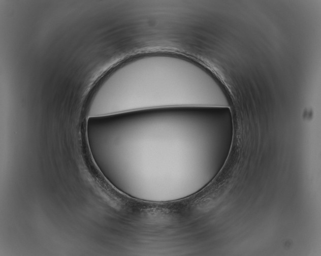 X0000090980535200708021143