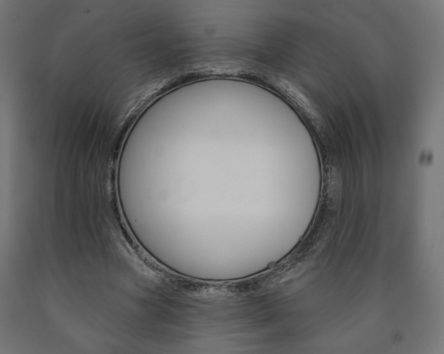 X0000090980537200708021143