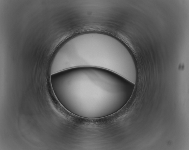 X0000090980538200708021143