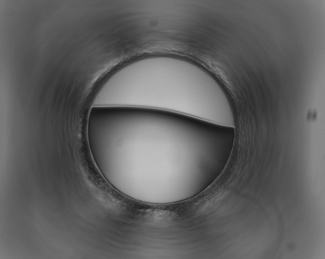 X0000090980539200708021143