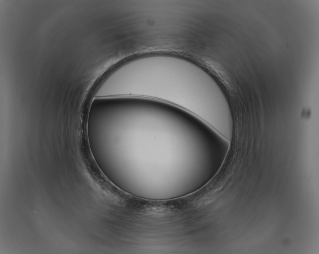 X0000090980540200708021143