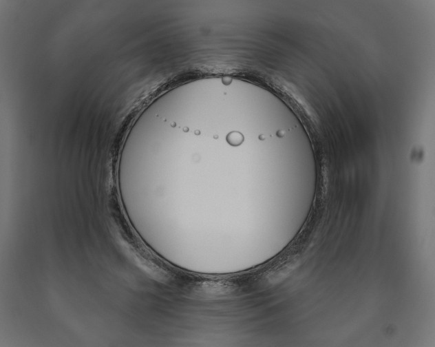 X0000090980541200708021143