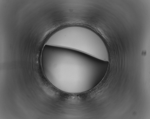 X0000090980543200708021143