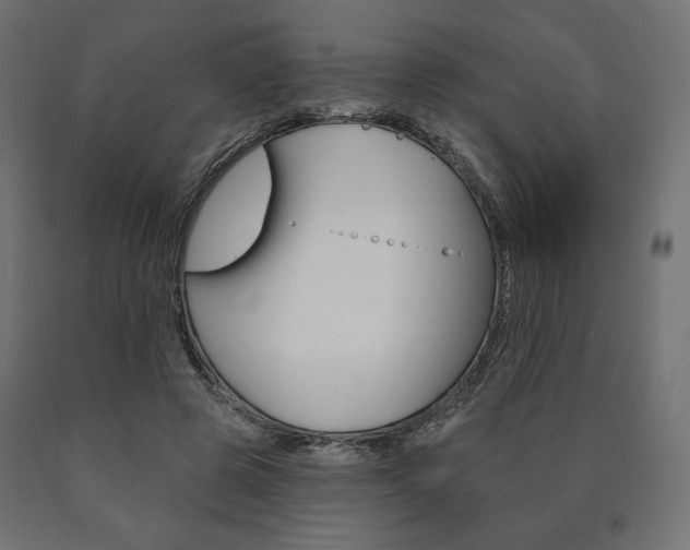 X0000090980545200708021143