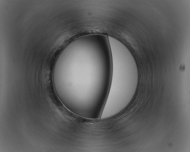 X0000090980548200708021144