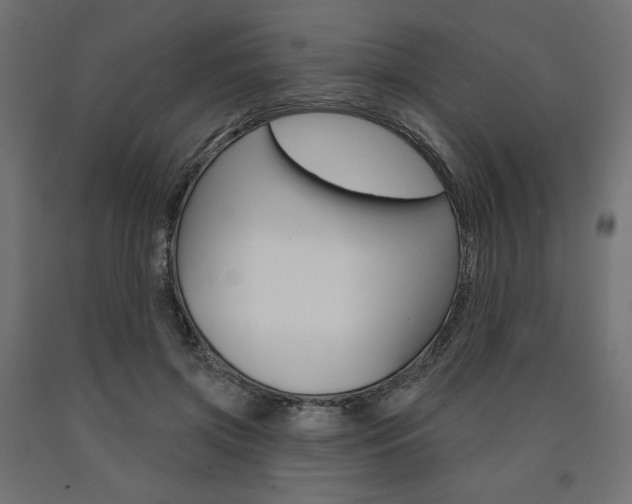 X0000090980549200708021144