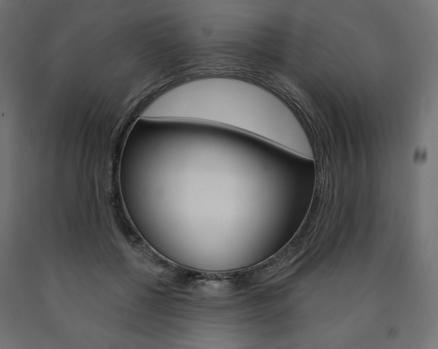 X0000090980552200708021144