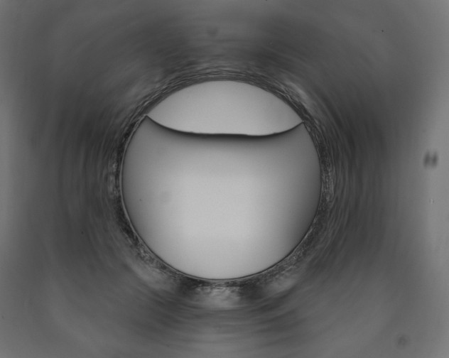X0000090980553200708021144