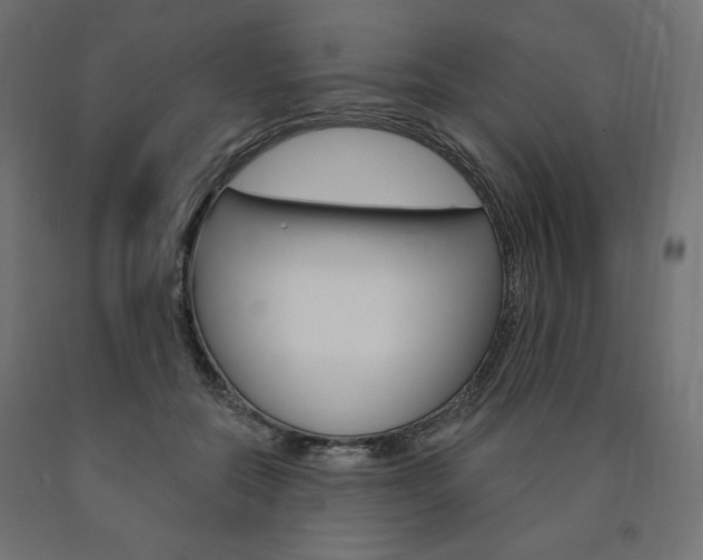 X0000090980554200708021144