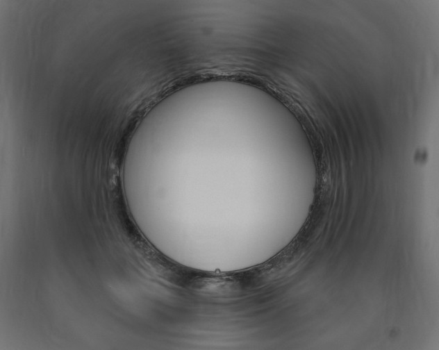 X0000090980555200708021144