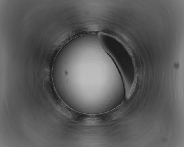 X0000090980556200708021144