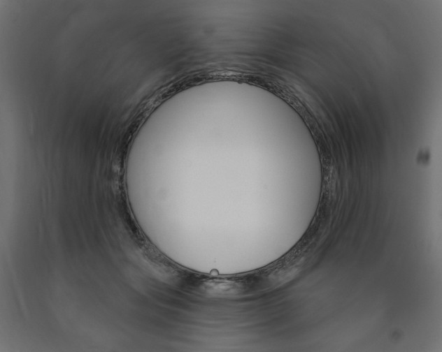 X0000090980557200708021144